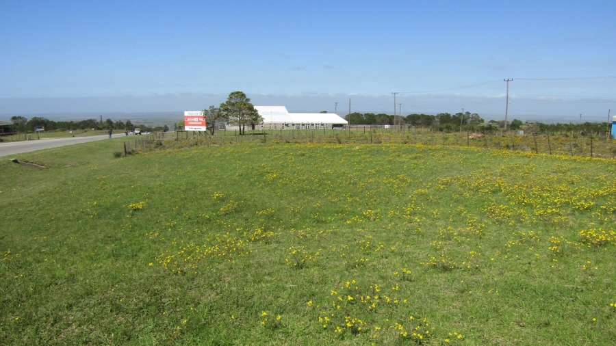 0 Bedroom Property for Sale in Humansdorp Eastern Cape